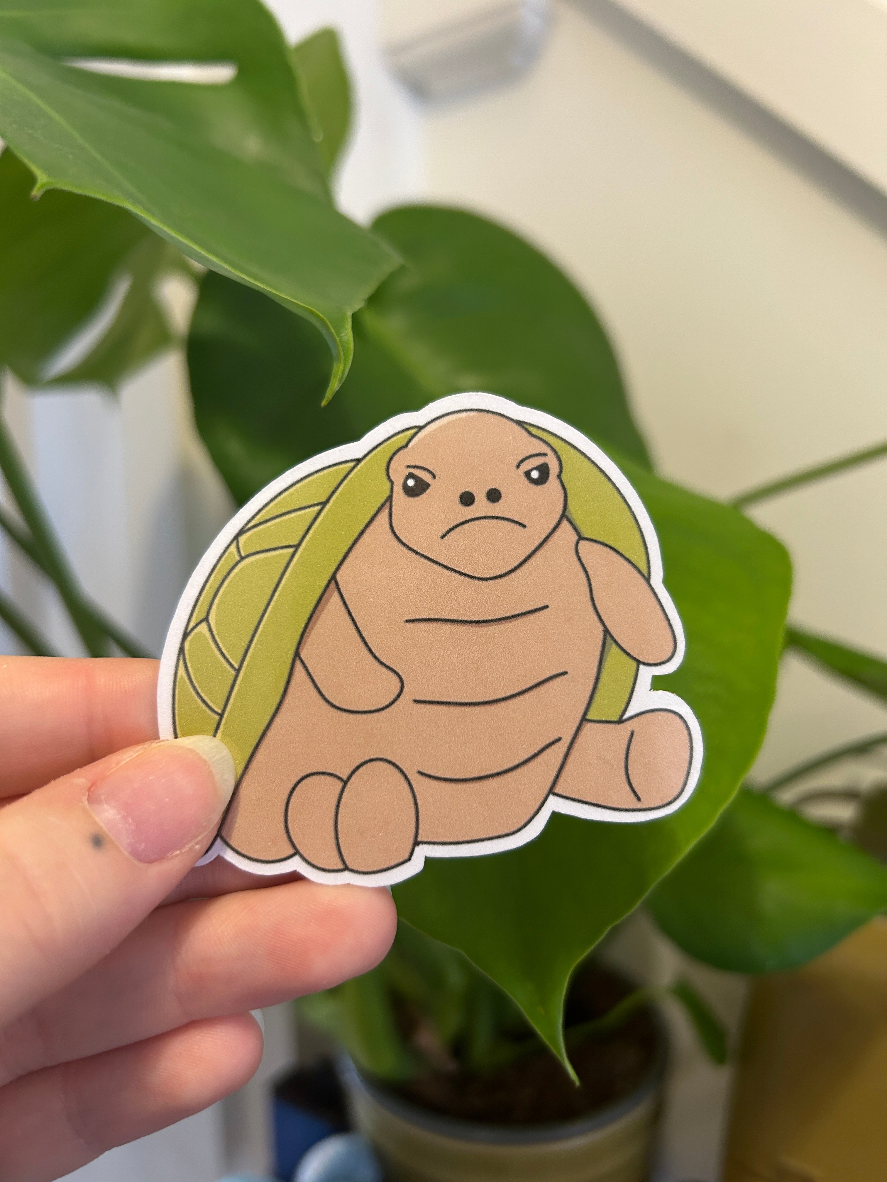 Grumpy Turtle Sticker